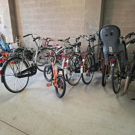 Les Ganades Au Cœur Des Pépinières Brunehaut